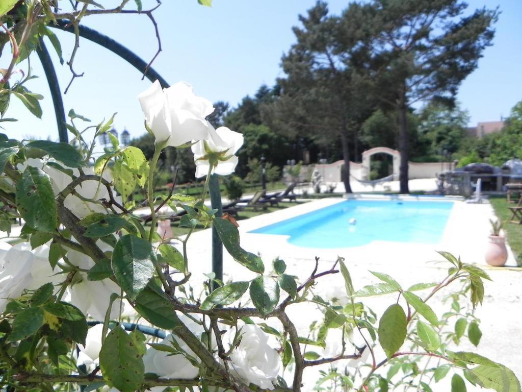เลอ เปอตี โดแมน เดอ บัว อาฟริล Hotel Etais-la-Sauvin ห้อง รูปภาพ